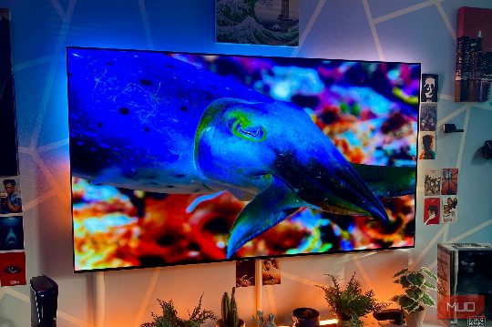 A free app saved my OLED TV from what I was certain was permanent damage
