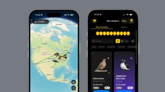 Pombo-correio digital: app de mensagens quer fugir do imediatismo