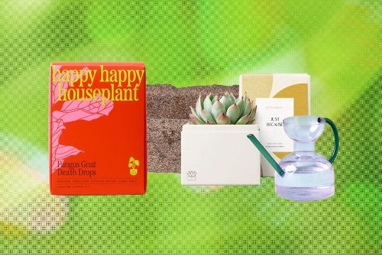 19 Best Gifts for Plant Lovers and Gardeners (2026)