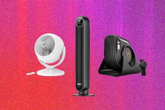 The 13 Best Fans for Getting Through Sweaty Days (2026)
