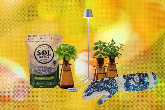 19 Best Gifts for Plant Lovers and Gardeners (2026)