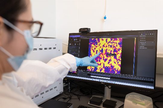 AI Models Built From Rat Brains Just Got Closer to Reality