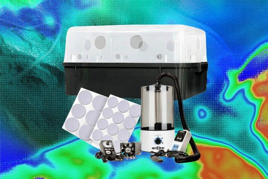 A Beginner’s Guide to Growing Mushrooms at Home (2026)
