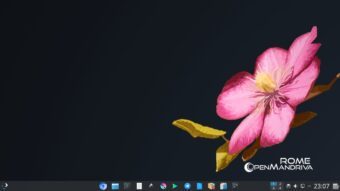 A briga que quase derrubou uma distribuição Linux