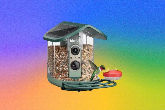 Kiwibit Bird Feeder 2 Pro Review: Premium but Paywalled