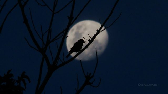 Qual a fase da Lua hoje: quinta-feira, 25 de junho de 2026