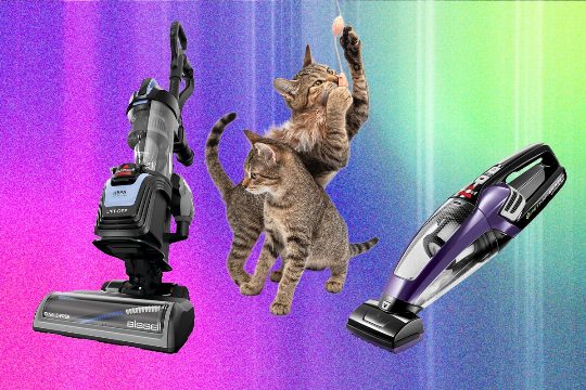 The Best Vacuum for Pet Hair—We Tested Many to Find Which Ones Work Best (2026)