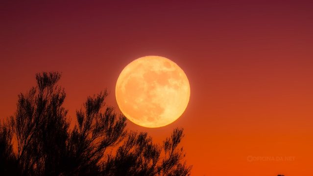 Qual a fase da Lua hoje: segunda-feira, 1º de junho de 2026