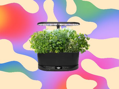 The Aerogarden I Recommend to Everyone Is Just $83 Right Now, a 63 Percent Discount
